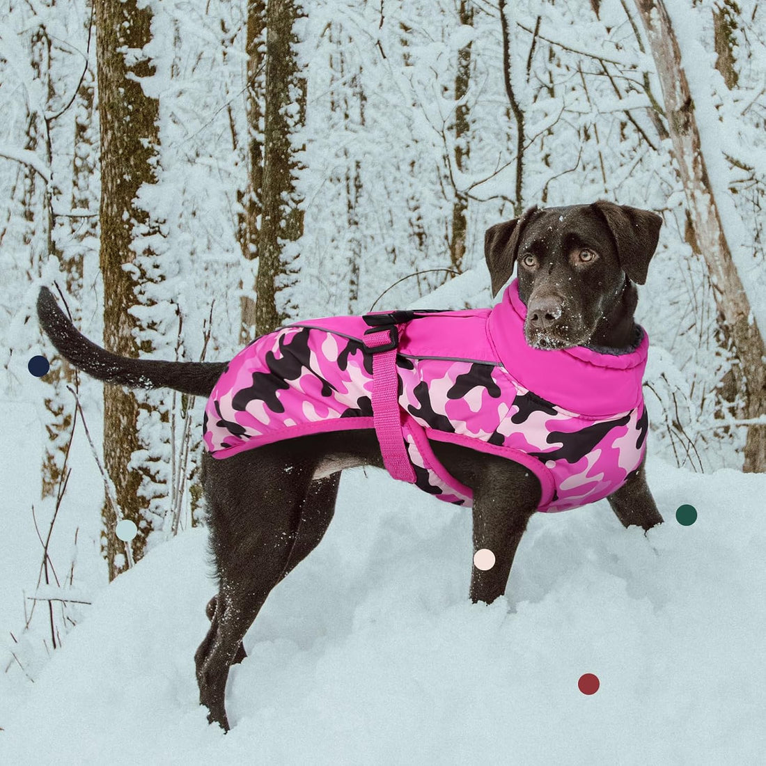 IECOii Extra Warm Dog Coat - Reflective Adjustable Jacket With Buckle