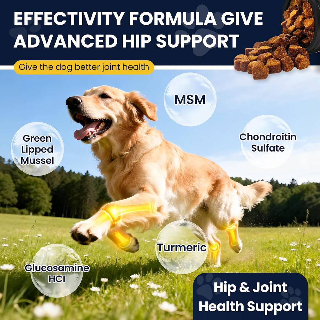 Hip and Joint Supplement for Dogs with Probiotics Glucosamine for Dog