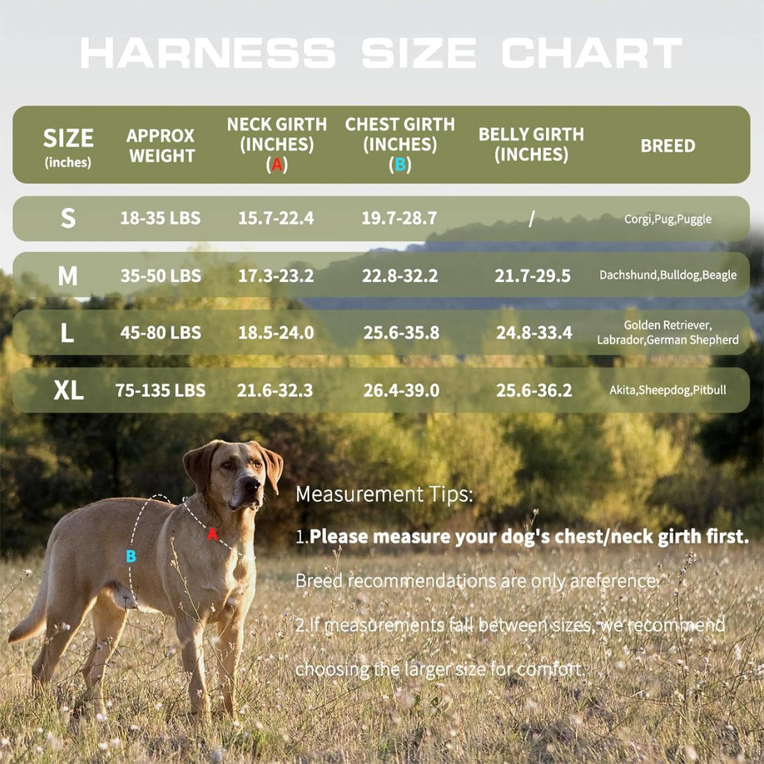 Dog Harness for Large Dogs Heavy Duty