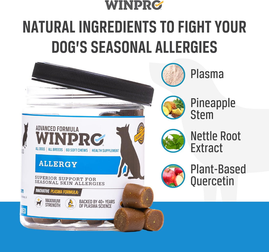 WINPRO Allergy Chews – Plasma-Powered Formula for Dog Seasonal