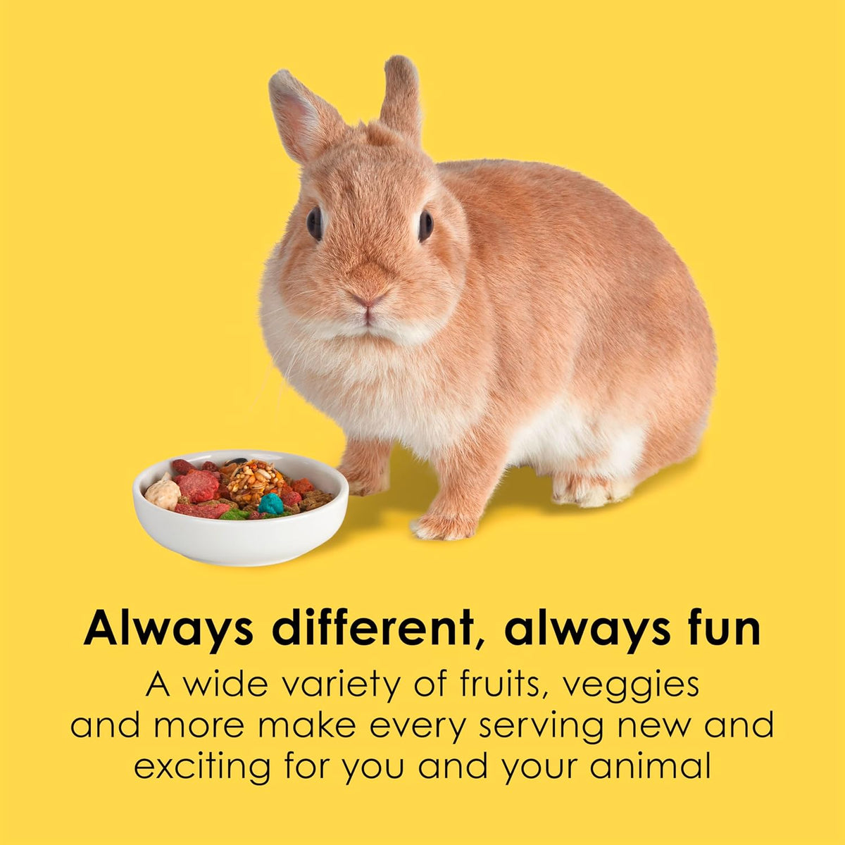 Kaytee Fiesta Rabbit Food, Supports Dental Health and Digestion