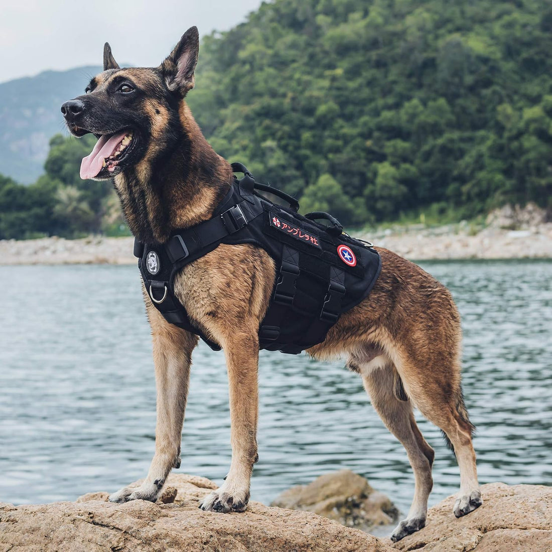 OneTigris Large Tactical Dog Harness No Pull Handle XL