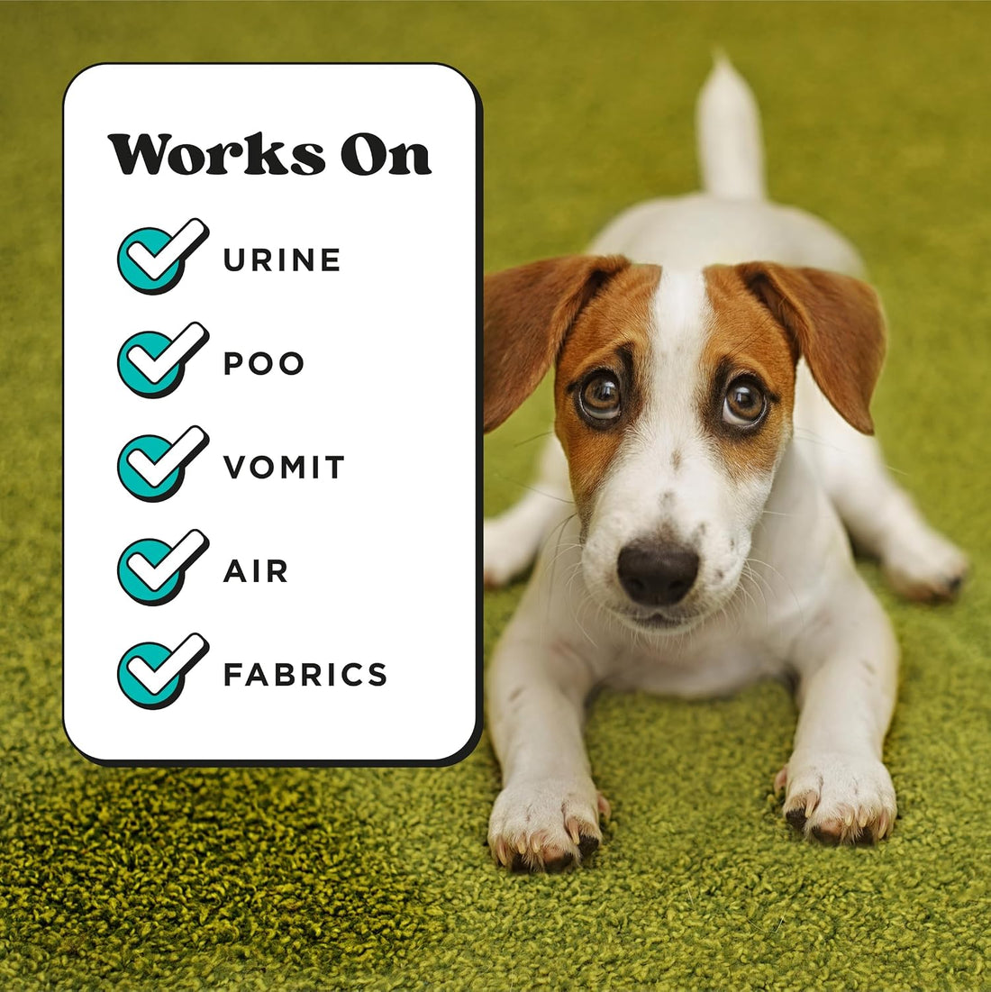Poo-Pourri Pawsitively Fresh Pocket Deodorizer Spray