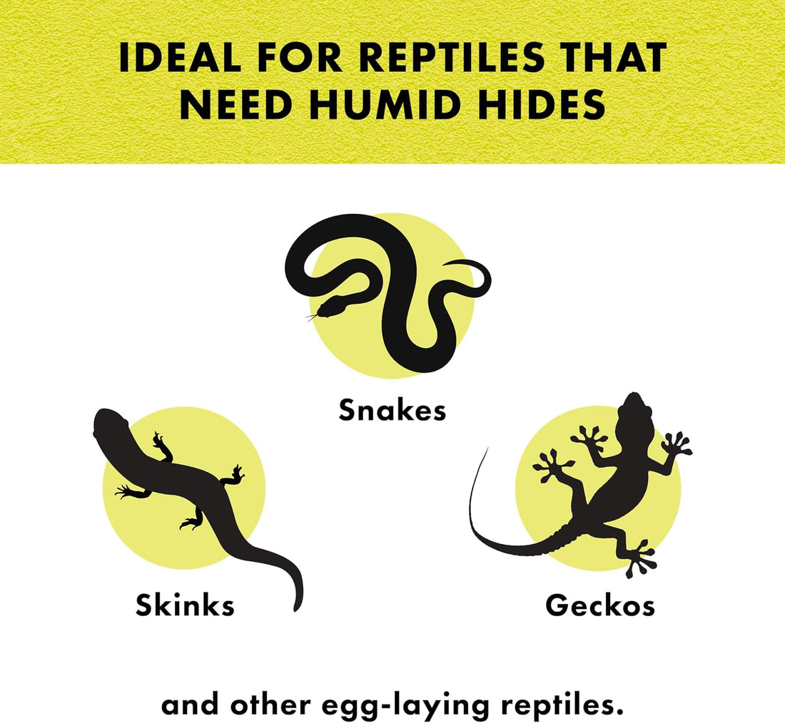 Zilla Rock Lair Naturalistic Hide for Snakes and Lizards, Medium