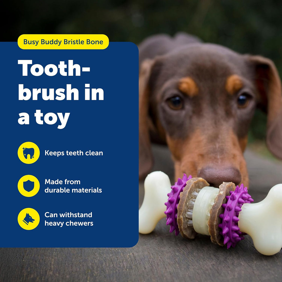 PetSafe Busy Buddy Bristle Bone Dog Chew Toy