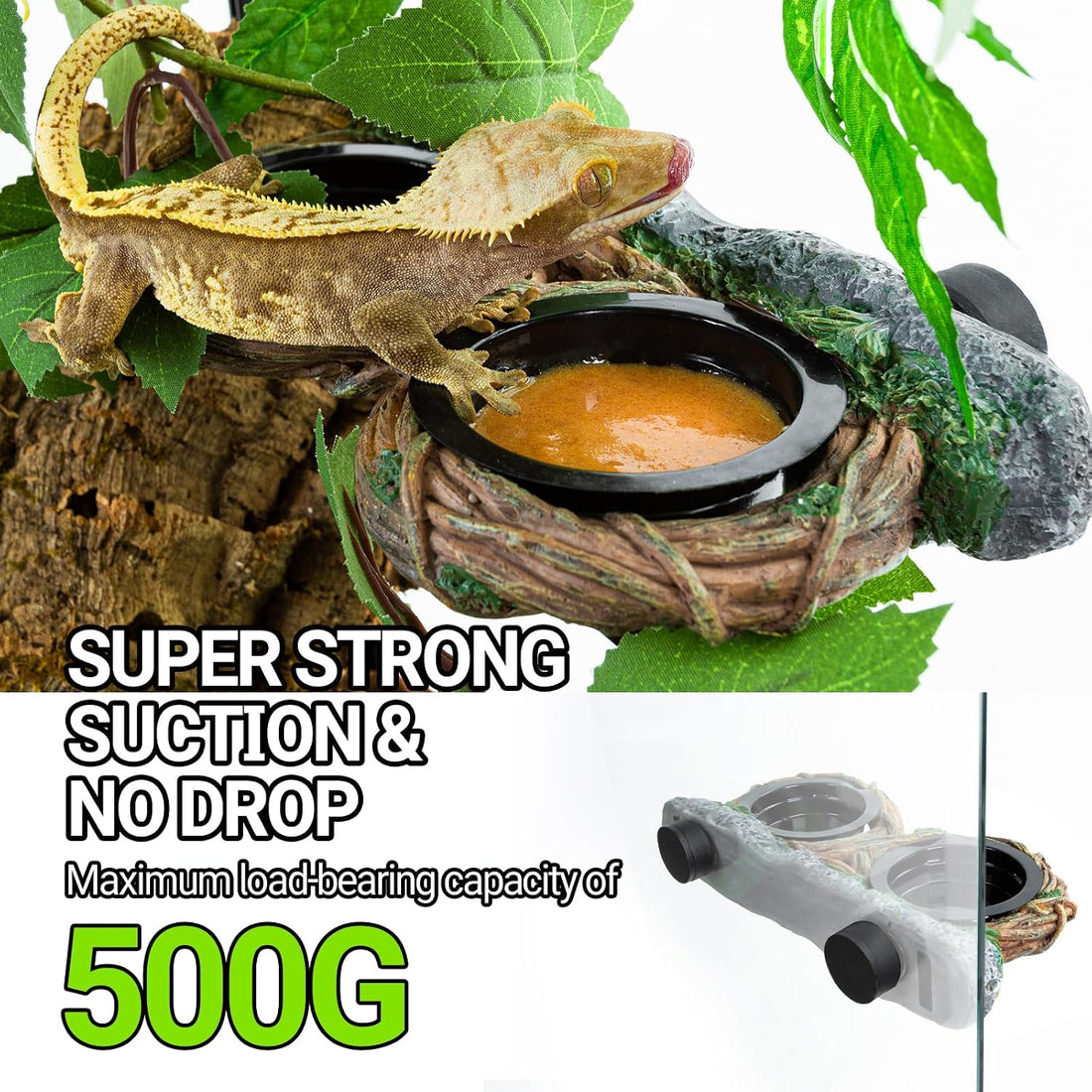 REPTI ZOO Magnetic Reptile Feeding Ledge