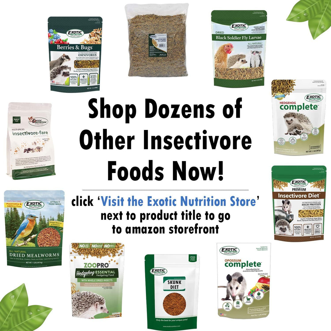Berries & Bugs 3 lb. - All Natural High Protein High Fiber