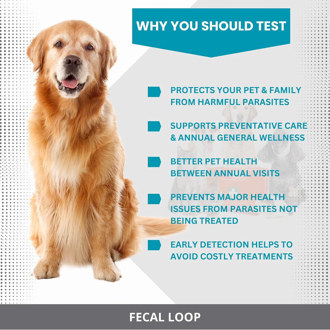 Fecal Loop for Small and Medium Animals
