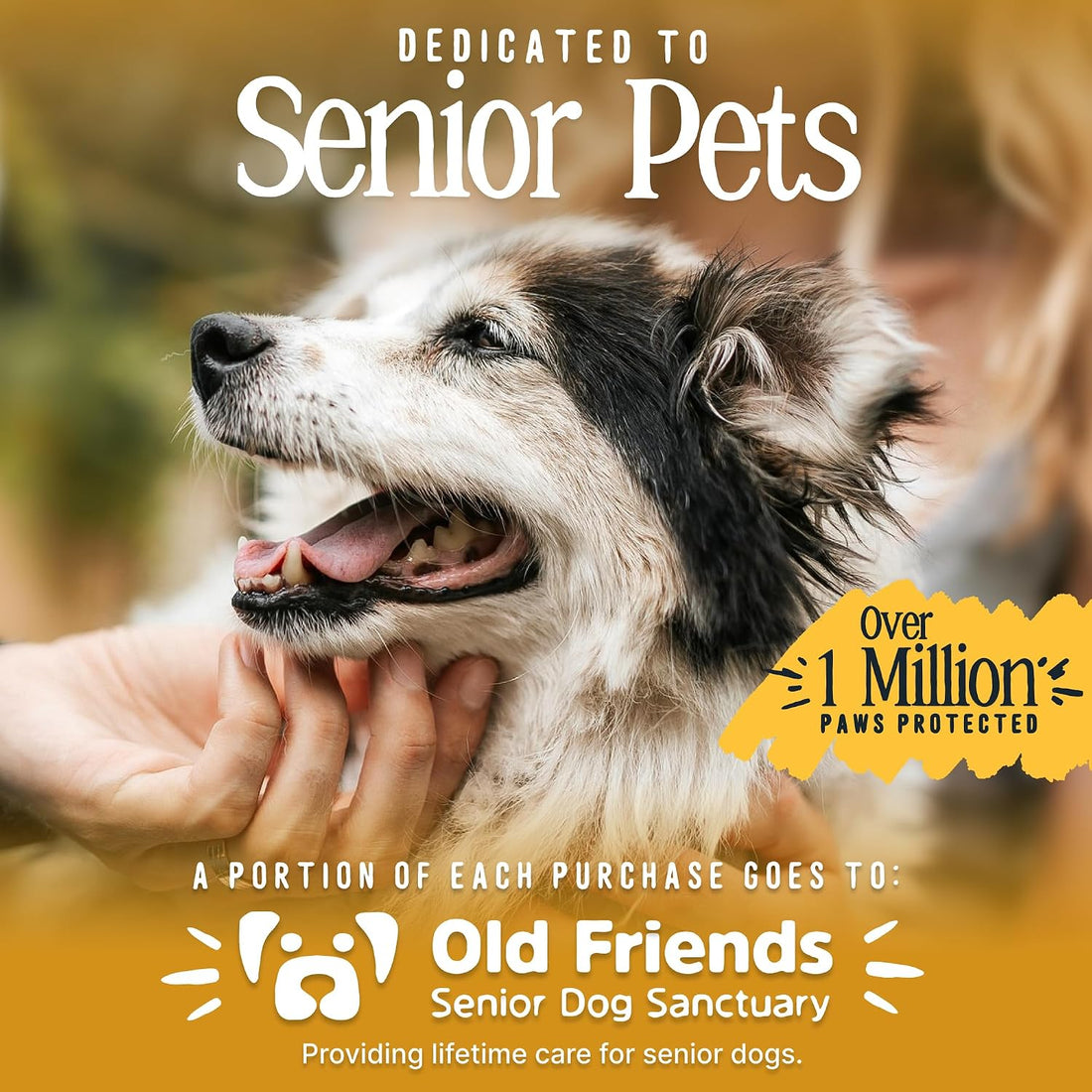 DOK TigerToes Premium Non-Slip Dog Socks for Hardwood Floors