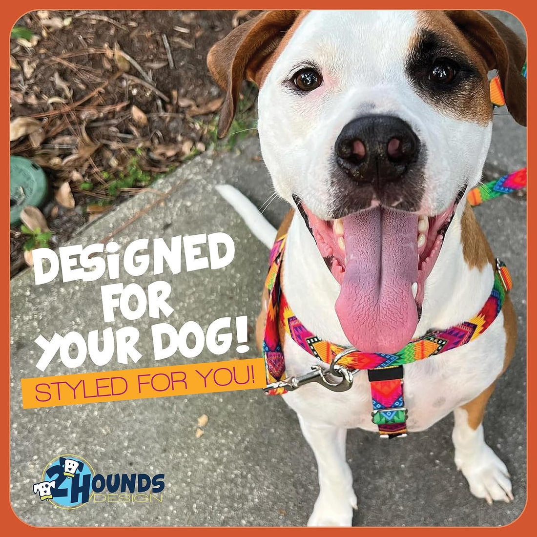 2 Hounds Design Freedom No Pull Dog Harness