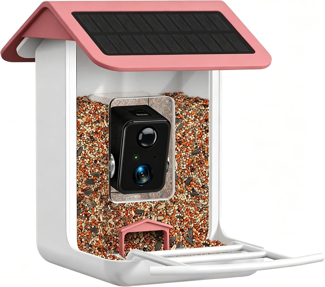 Smart Bird Feeder Camera - Free AI Forever for 1,1000+ Species