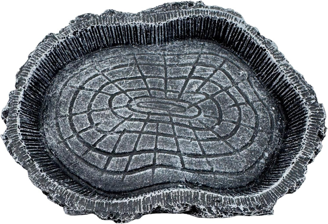 2 Pack Shallow Reptile Food Bowls