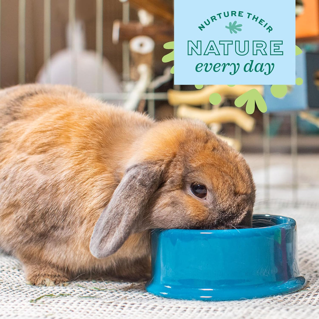 Oxbow Dripless Guinea Pig Water Bottle & Rabbit Water Bottle