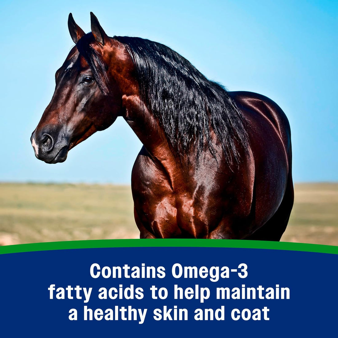 Farnam Weight Builder Weight Support Supplement for Horses