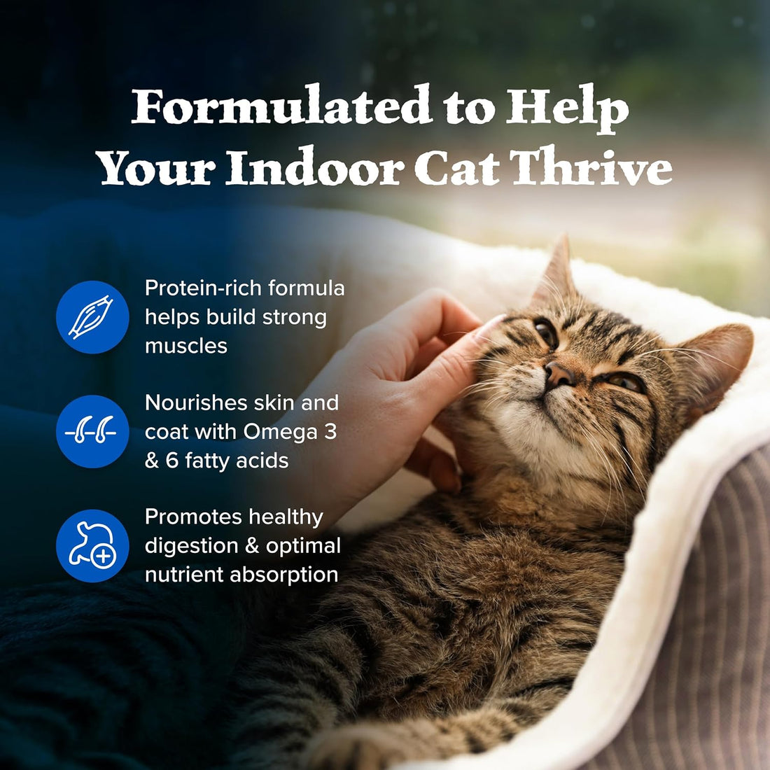 Blue Buffalo Wilderness Chicken Adult Indoor Dry Cat Food, Grain-Free