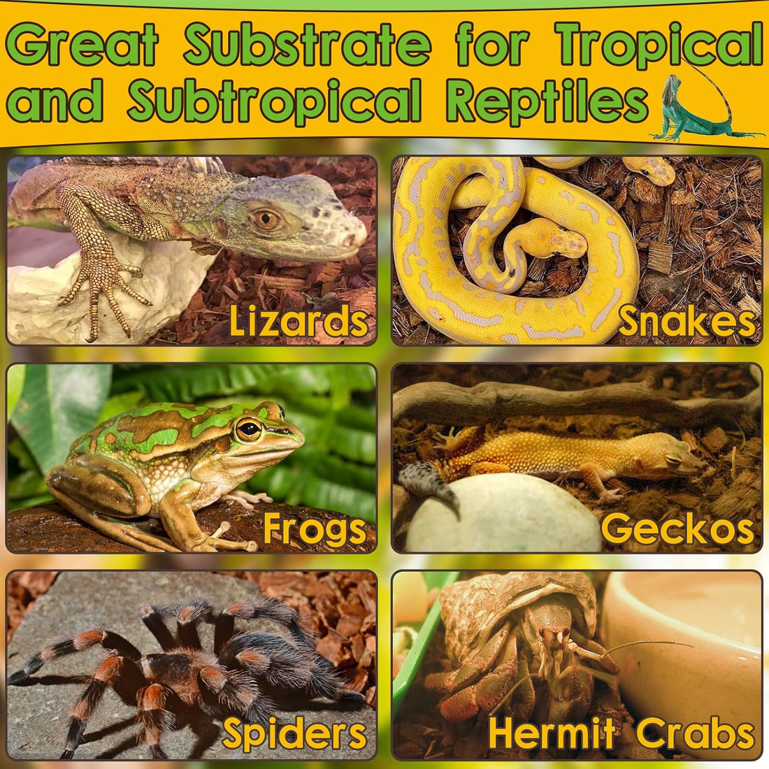 Halatool Organic 10LB Coconut Husk for Reptiles