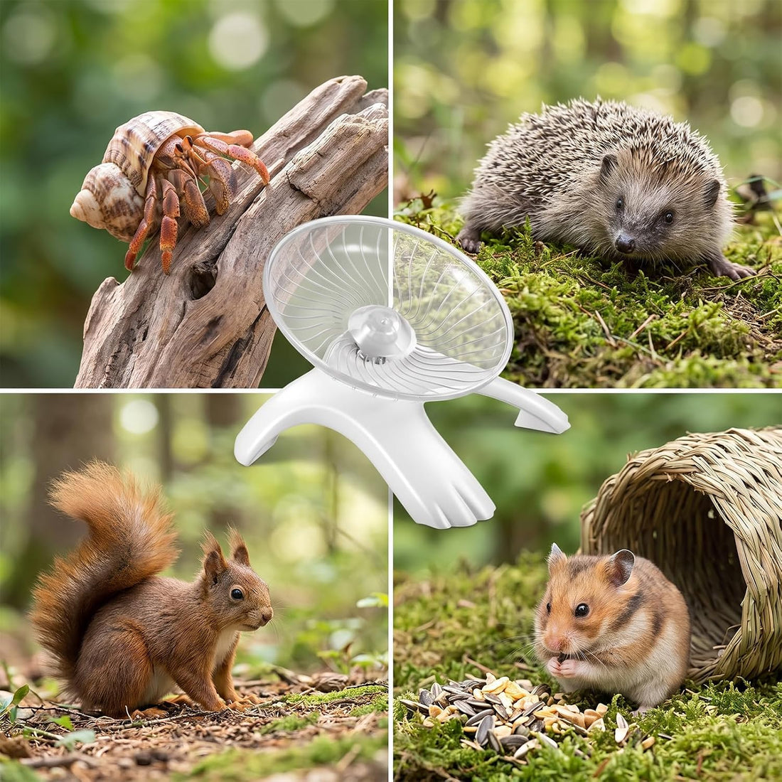 Hamster Wheel, 12.7cm Diameter Hermit Crab Wheel for Small Pets