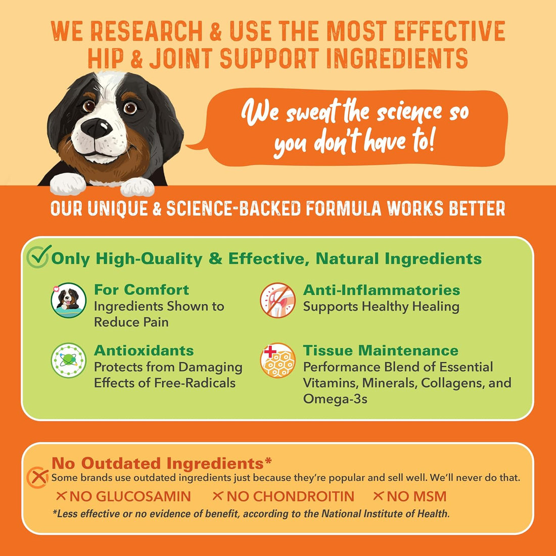 Bernie's Healthy Hips, Hip and Joint Supplement for Dogs