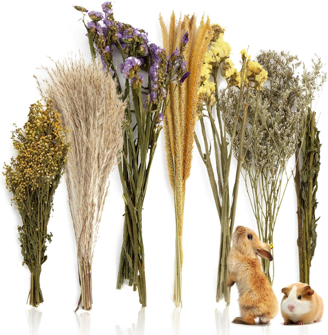 Sukh 47 Pcs Hamster Sprays - Natural Dried Flower and Herb Forage Mix