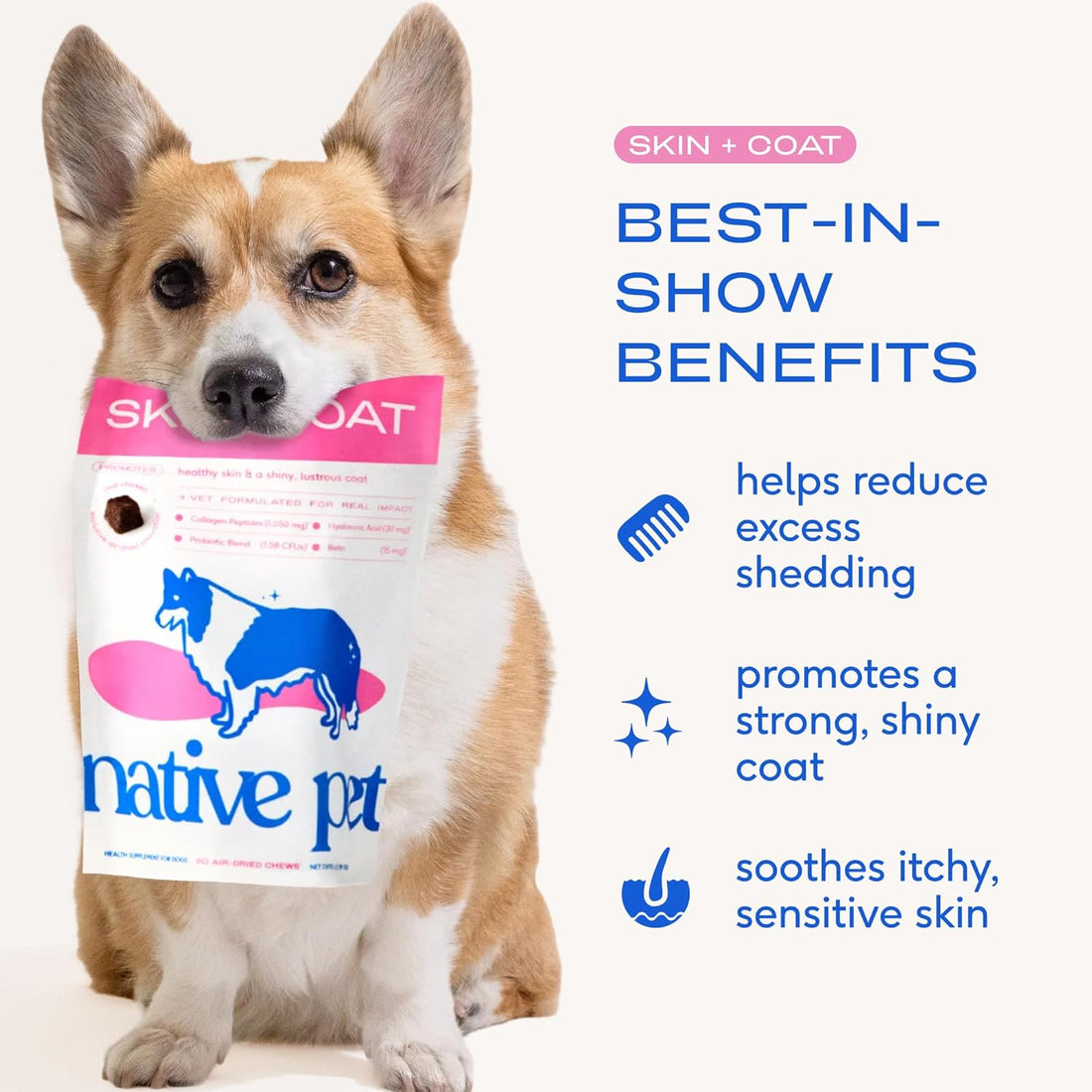 Native Pet Skin & Coat Chews
