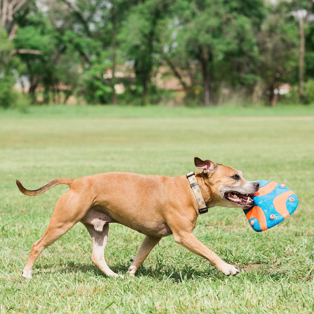 Chuckit! Whistle Flight Fetch Toy, Orange/Blue