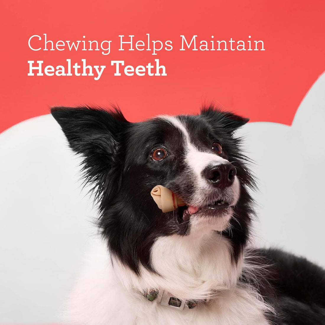DreamBone Chicken Mini Bone Dog Treats, Daily Rawhide-Free Chew