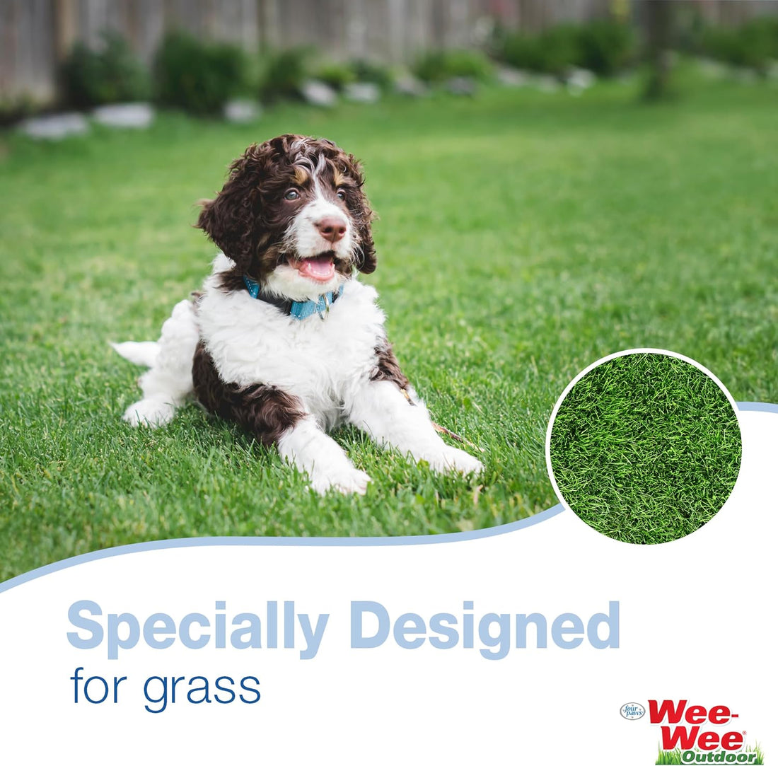 Four Paws Allen's Spring Action Dog Scooper For Hard Surfaces 3.75" x