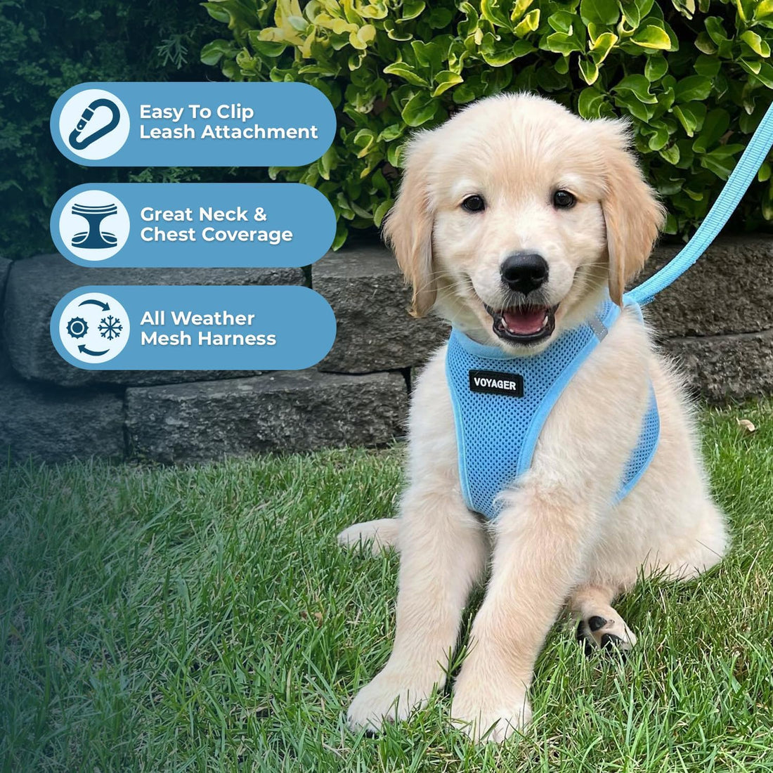 Best Pet Supplies Voyager Step-in Air All Weather Mesh Harness