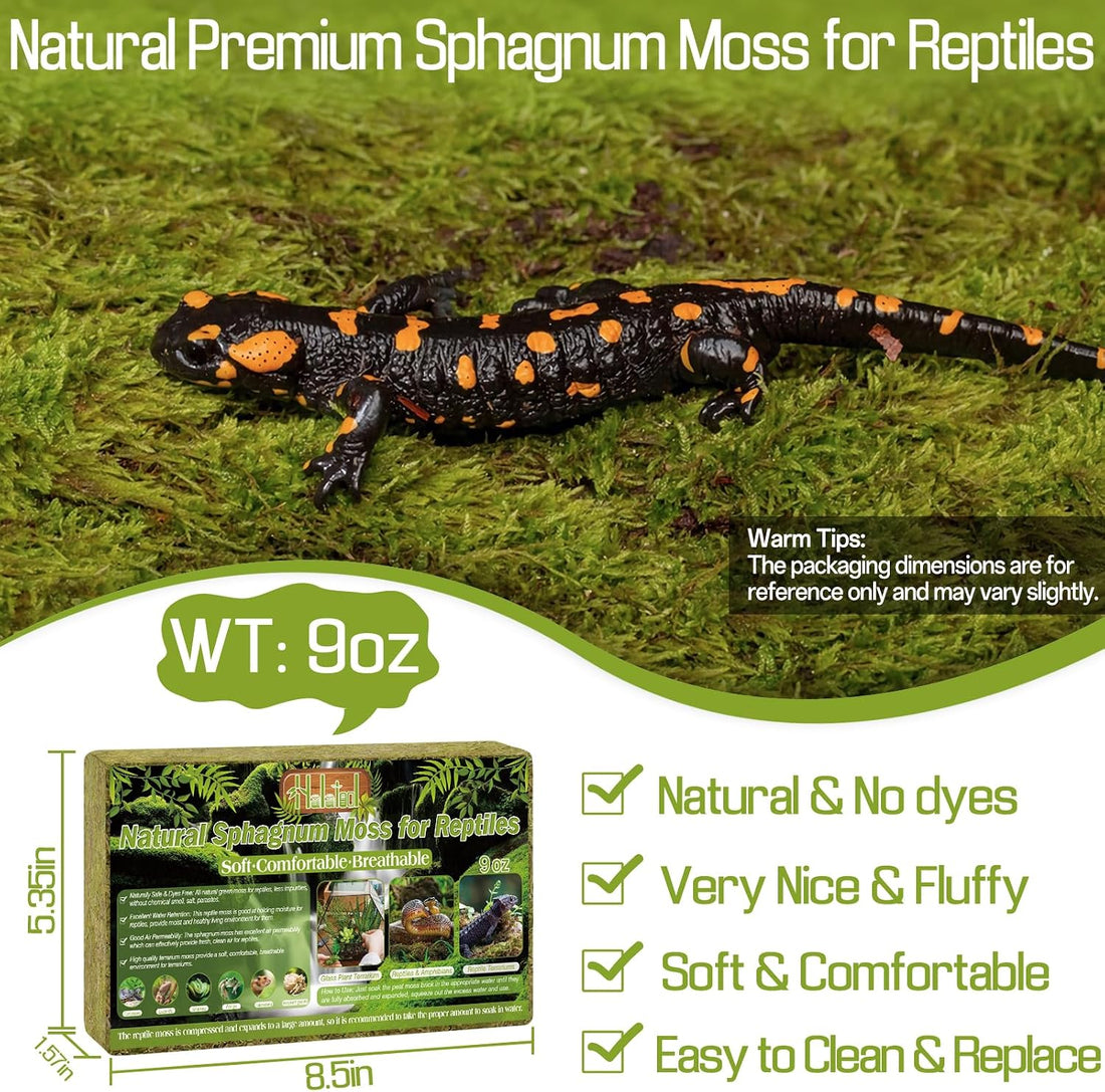 Halatool 9 OZ Sphagnum Moss for Reptiles - Green Terrarium Moss