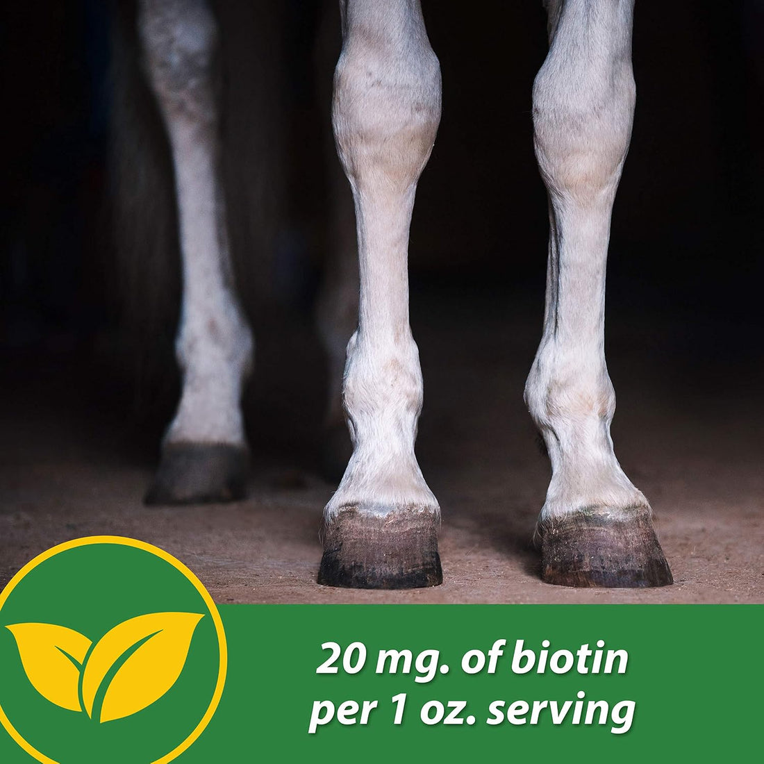 Farnam HB 15 Hoof Supplement, Supports Healthy hoof Growth