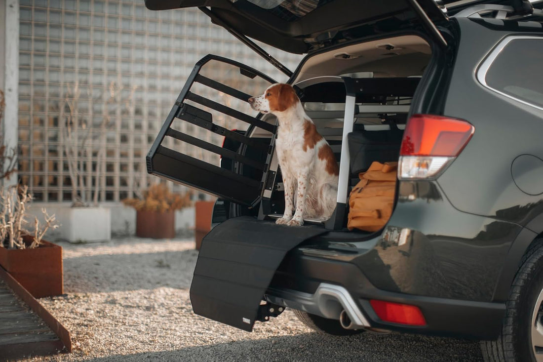 Thule Allax Storage Bag Accessory - Compatible Allax Dog crates