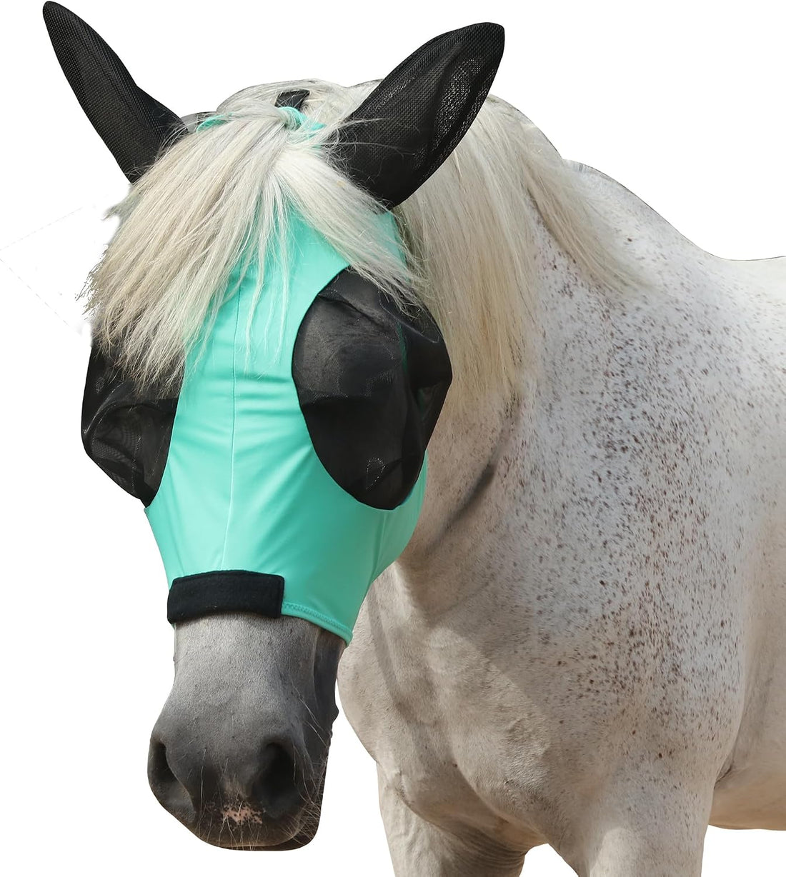 Stretchy Horse Fly Mask with Ears, Large Eye Space Paleblue Cob