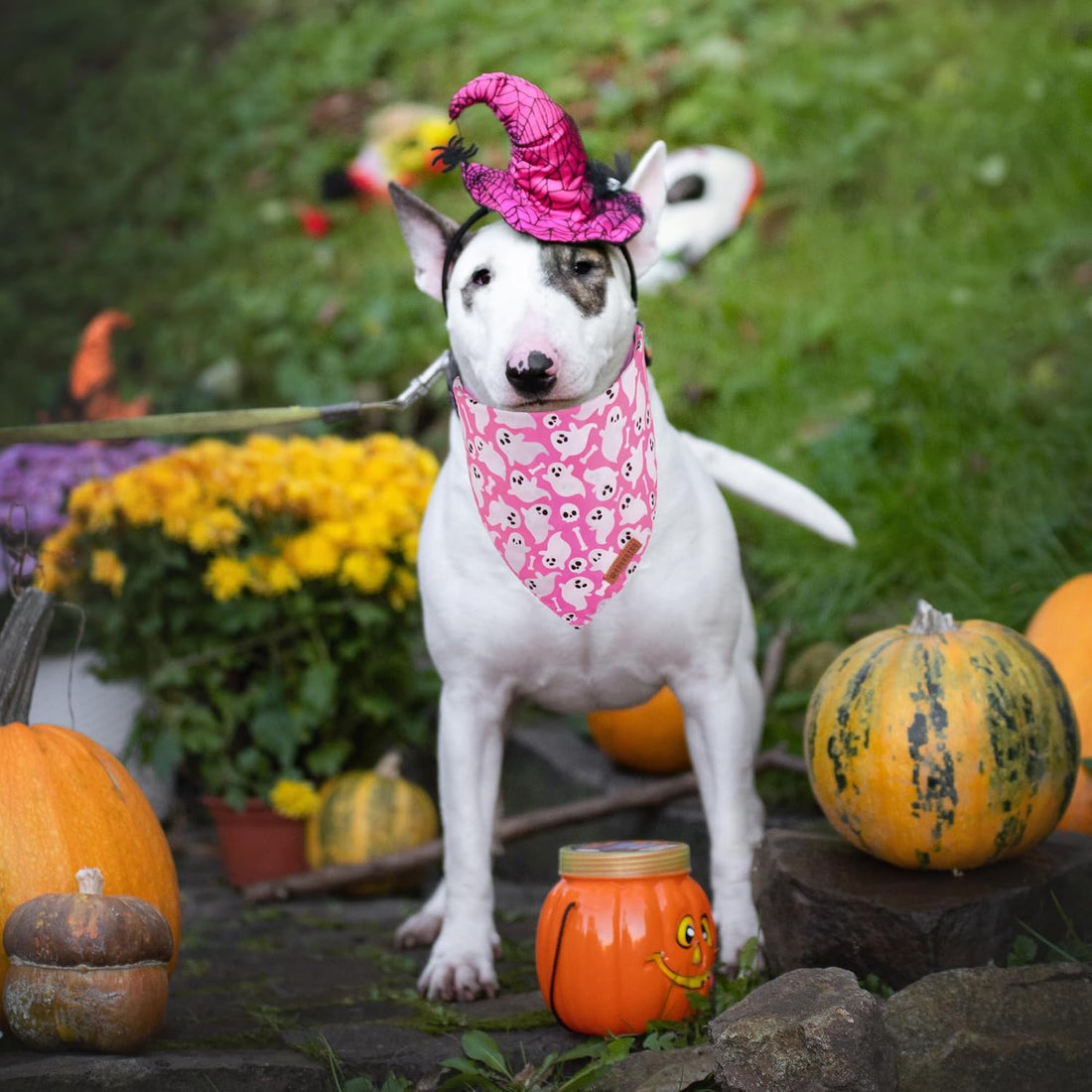 ADOGGYGO Halloween Dog Bandanas Girl, Pink Pumpkin Ghost Dog Scarf