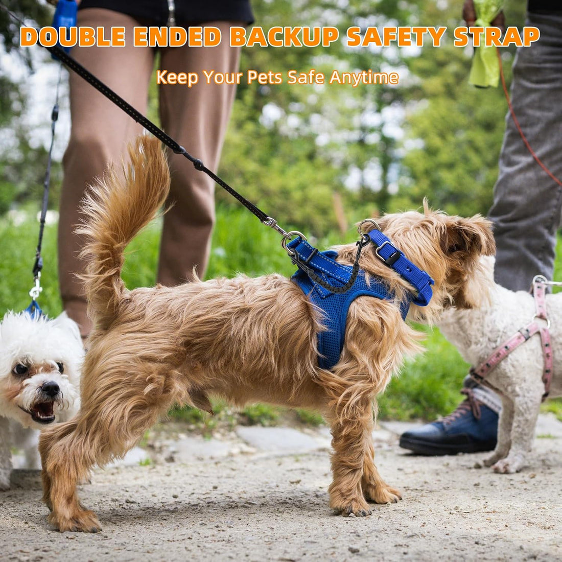YUEPET 2 Pack Dog Collar Safety Clips