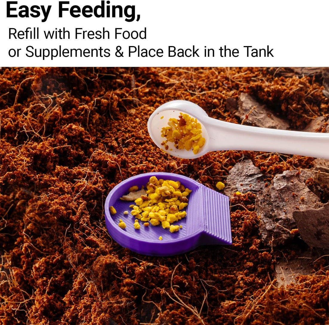 12-Pack Feeding Dish for Invertebrates