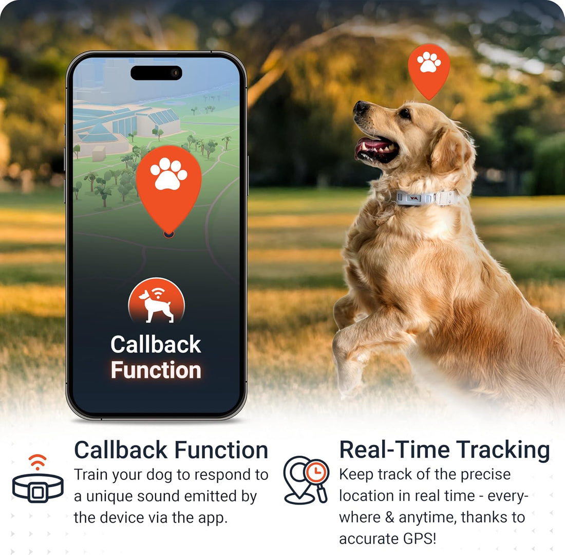 PAJ Dog GPS Tracker 3-Month Subscription Included