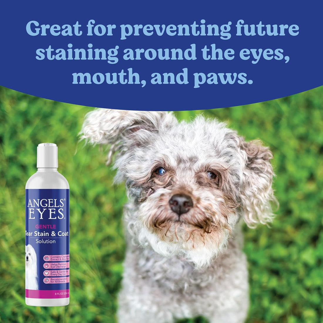 Angels' Eyes Tear Stain Remover Solution for Dogs, 8 fl oz