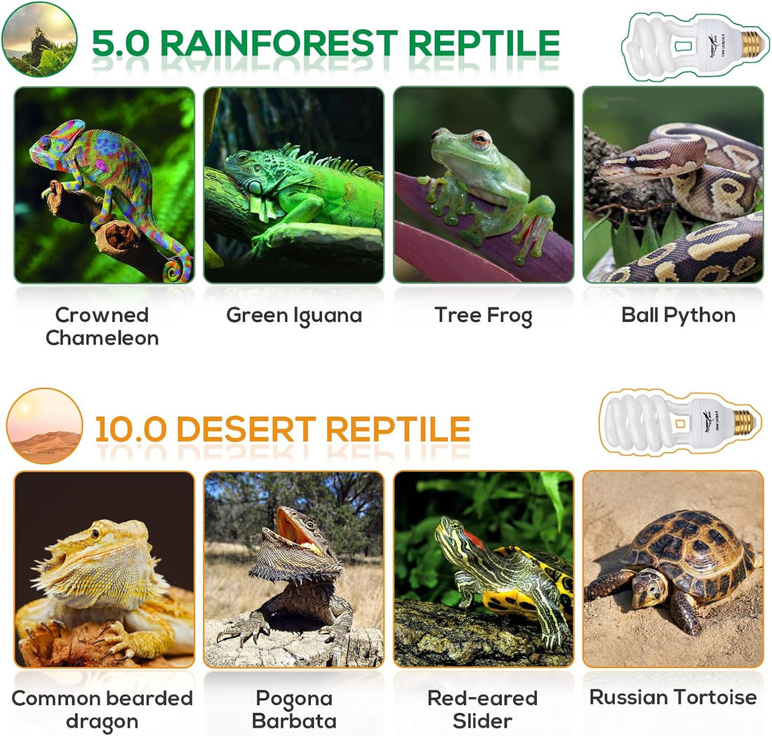 UVB Bulb for Reptiles, 5.0 13W UVB Light for Reptiles