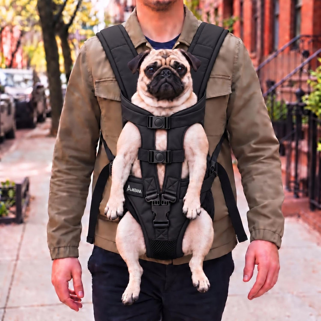 Dog Backpack Carrier for Small Dogs (Medium)