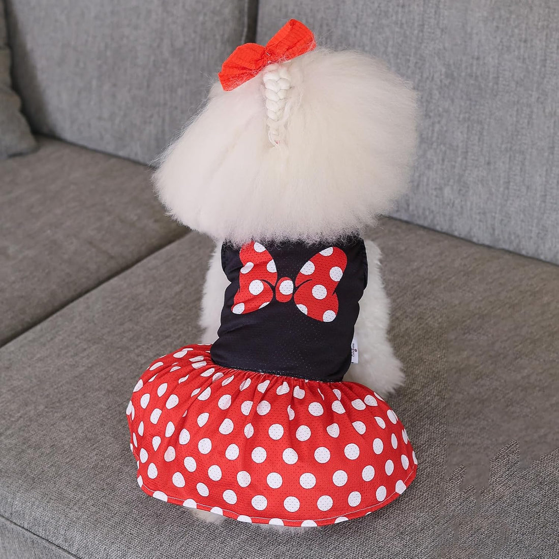 CuteBone Dog Mesh Dress Puppy Sundress Pet Outfit Summer Fashion