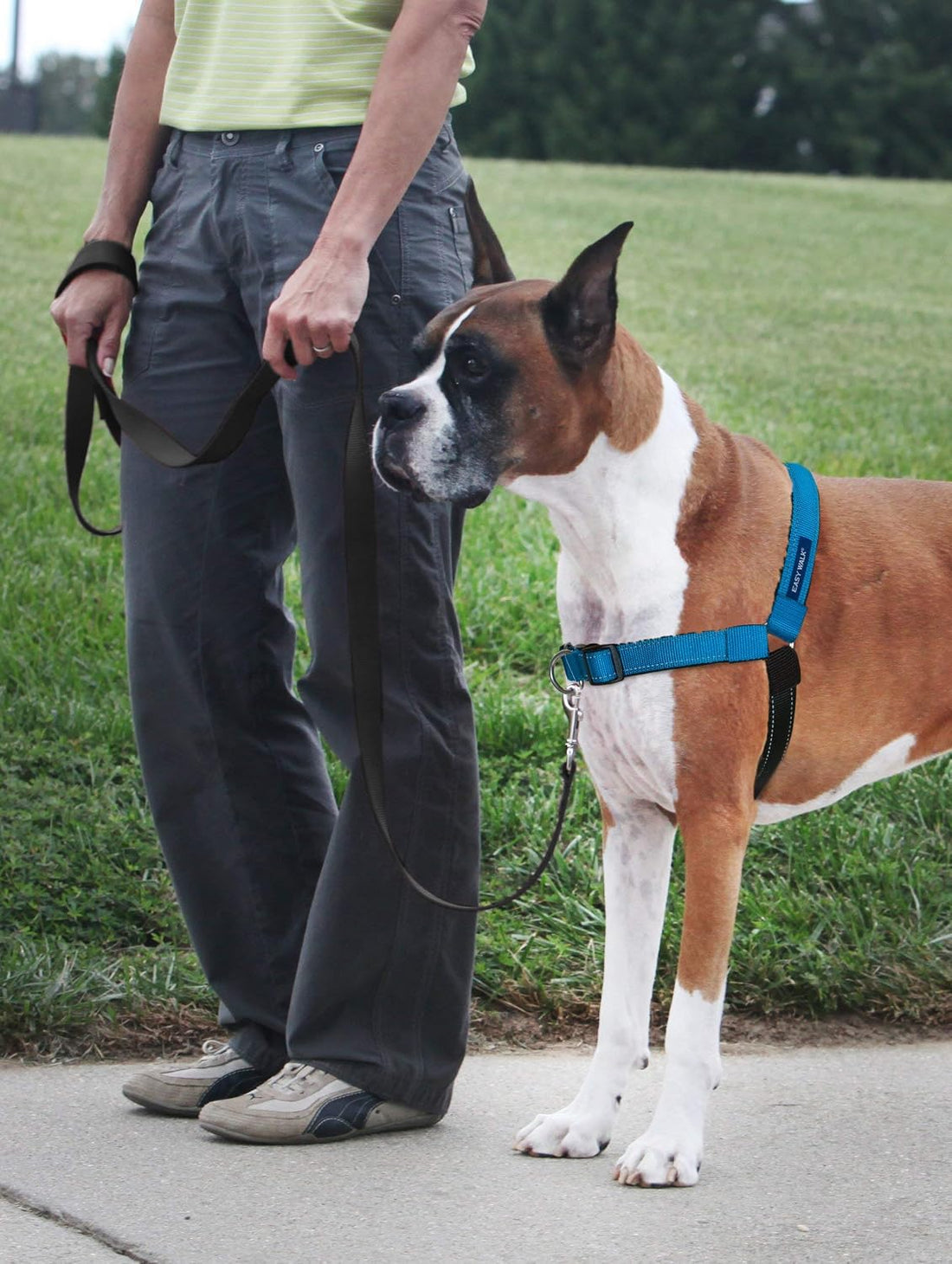 PetSafe Easy Walk Deluxe Dog Harness, No Pull Dog Harness