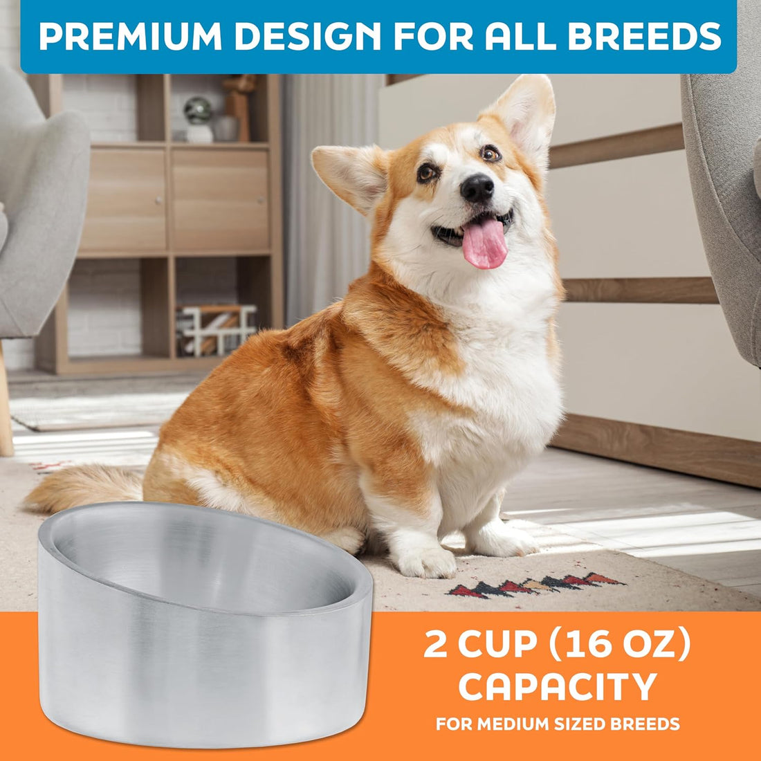 Master Pet Supply Stainless Steel Slanted Dog Cat Food Bowl