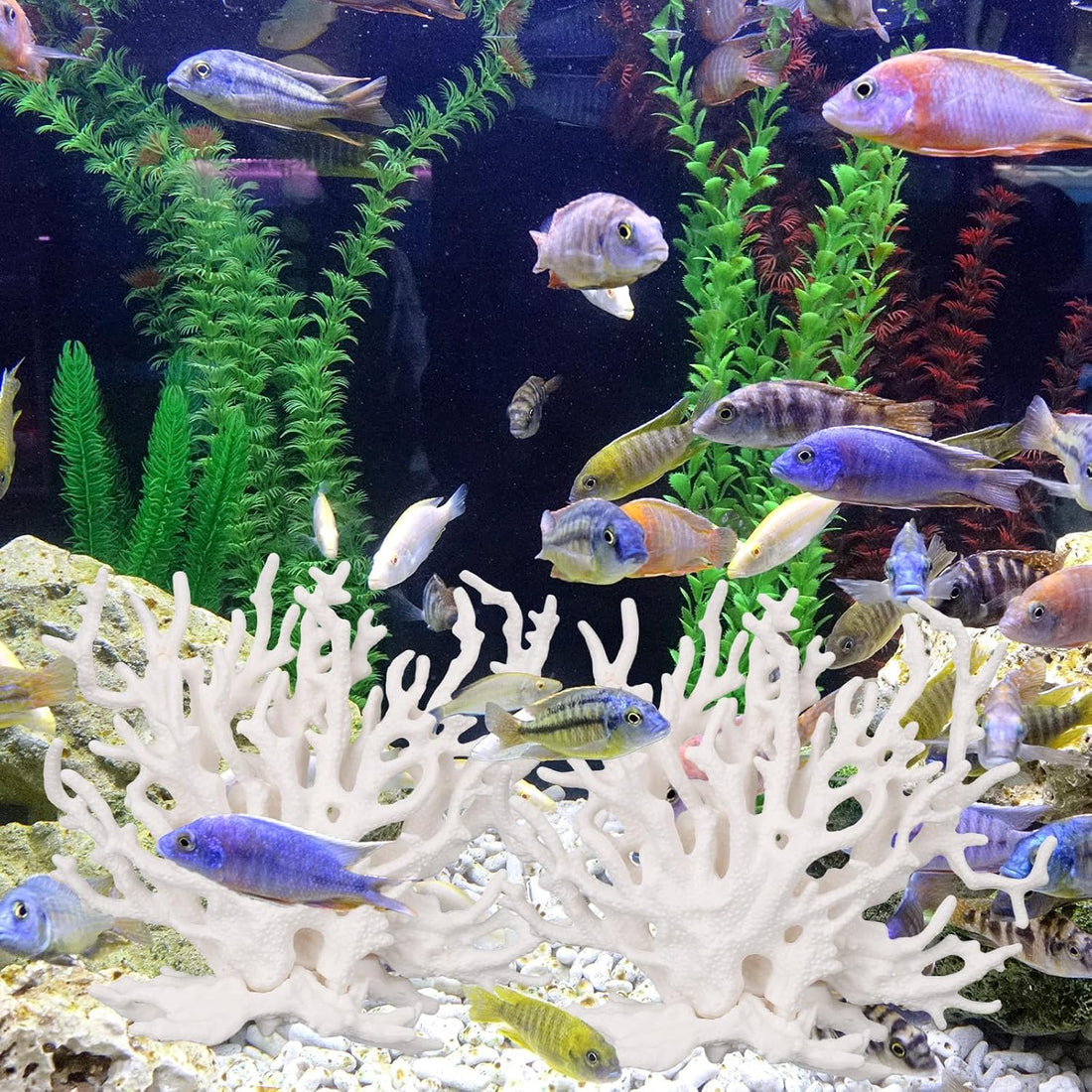 Tinoaly 2pcs Fish Tank Decorations, White Coral Reef Decor