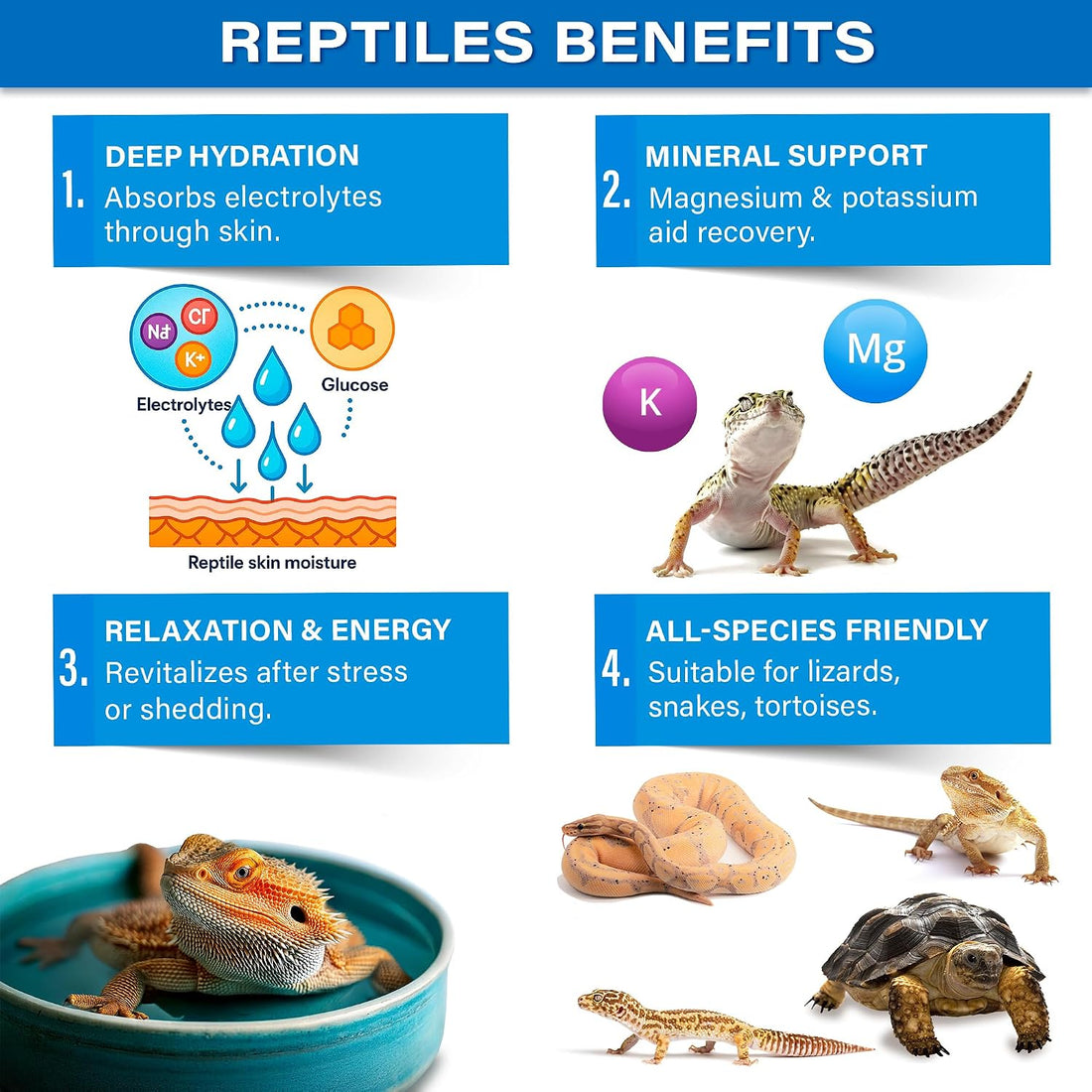 Gargeer Premium ReptiSoak Electrolytes SOAK for Reptiles