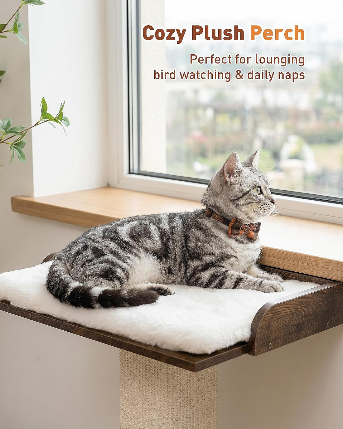 Modern Cat Scratching Post with Top Plush Bed for Indoor Cats