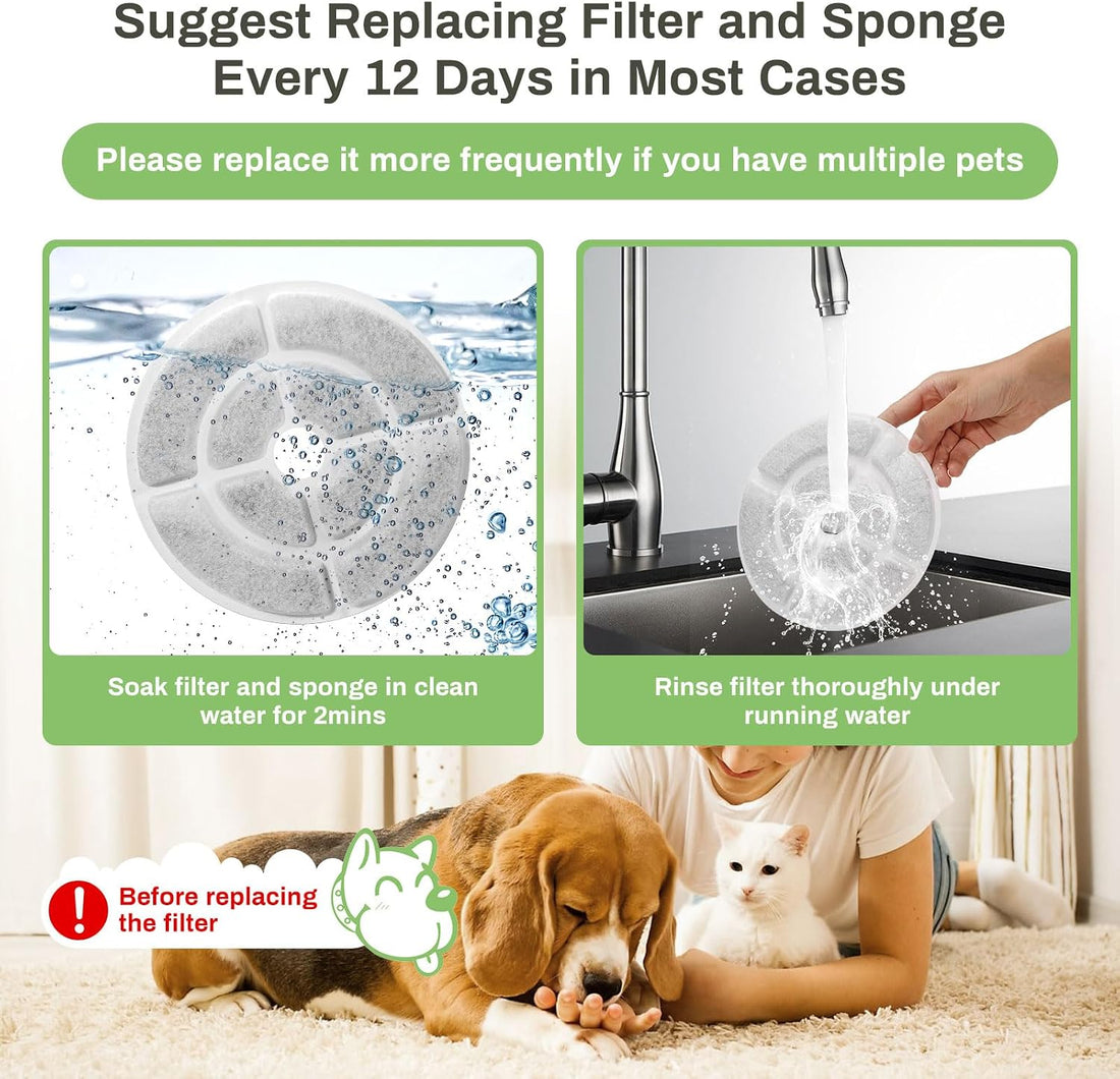 12 Pack Replacement Filters for 2.5Gal/9.5L Dog Fountain
