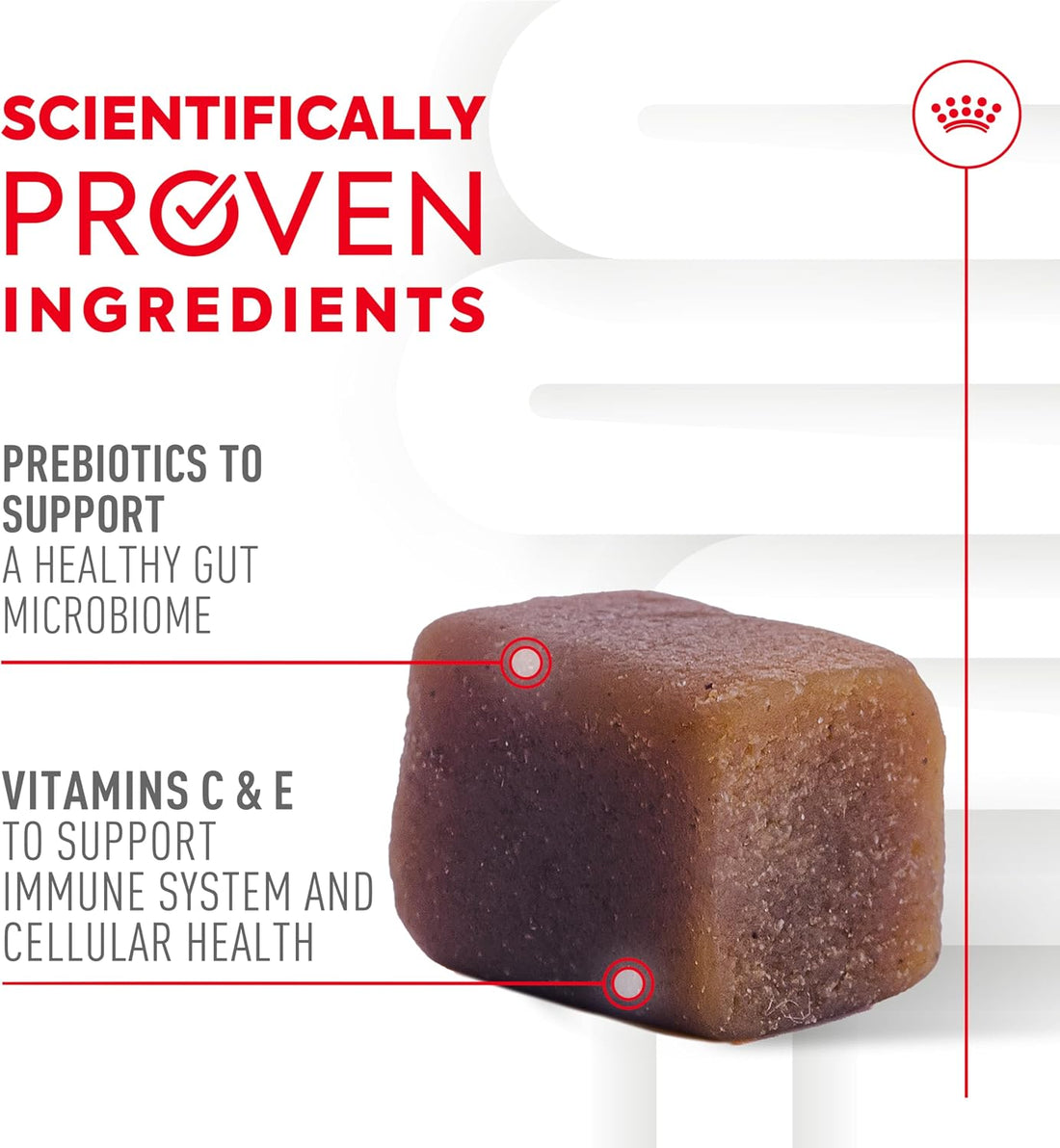Royal Canin Puppy Supplement Soft Chews for Immunity & Digestion
