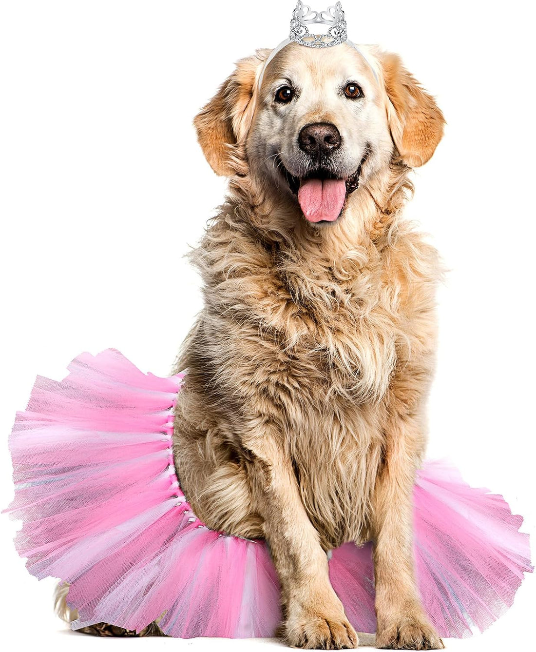 2 Pcs Dog Crown Headband Dog Tutu Dress Set Crystal Rhinestone Tiara