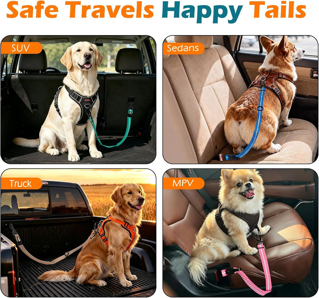 PetBonus Dog Seat Belt for Car