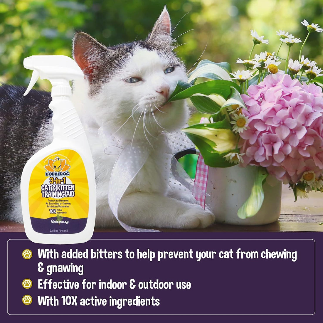 Bodhi 3-in-1 Cat & Kitten Training Aid